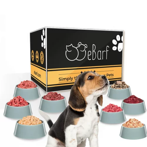 Pack BARF pour chiots