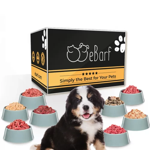 Pack Découverte BARF pour chiots