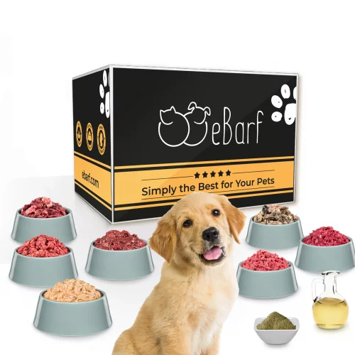 Kit de démarrage BARF pour chiots