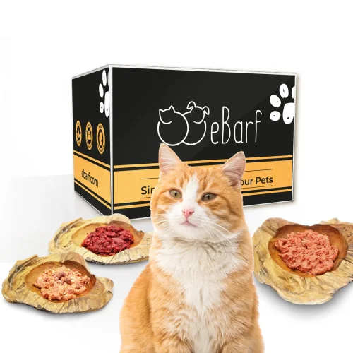 Fix-BARF® Pur Forfait Mensuel