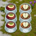 Seasonal Menu Bundle