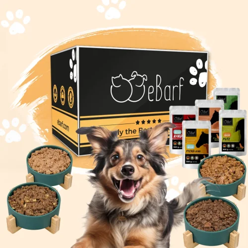 Forfait webinaire pour chiens (cuit)