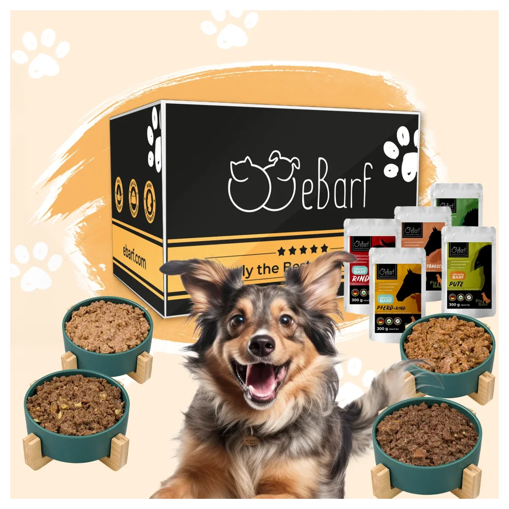 Webinar-pakke til hunde (tilberedt)