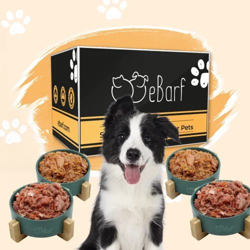 Paquete del seminario web para perros (crudo)