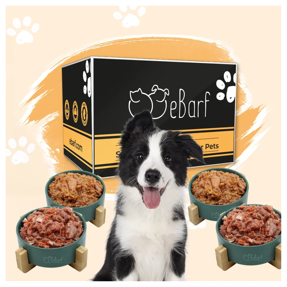 Paquete del seminario web para perros (crudo)