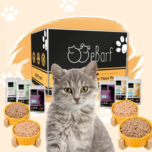 Webinar Package for Cats (cooked)