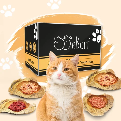 Webinar-Paket für Katzen (roh)