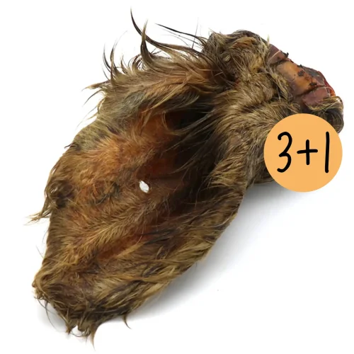 Prenez 4, payez 3 : Oreille de bœuf avec poils (séchée)