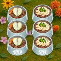 Seasonal Menu Bundle – Image 1 / 3