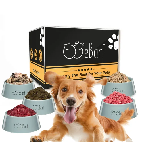 Pack de favoritos BARF